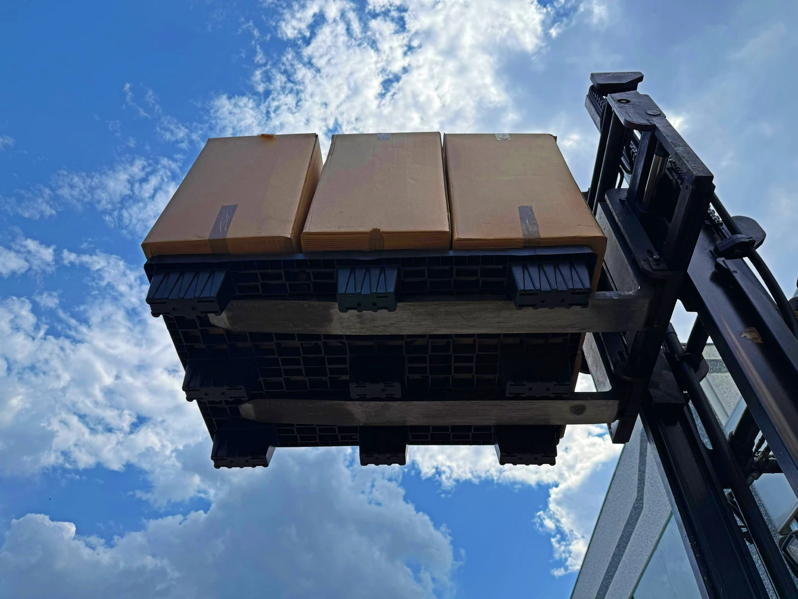 pallet per export logisto